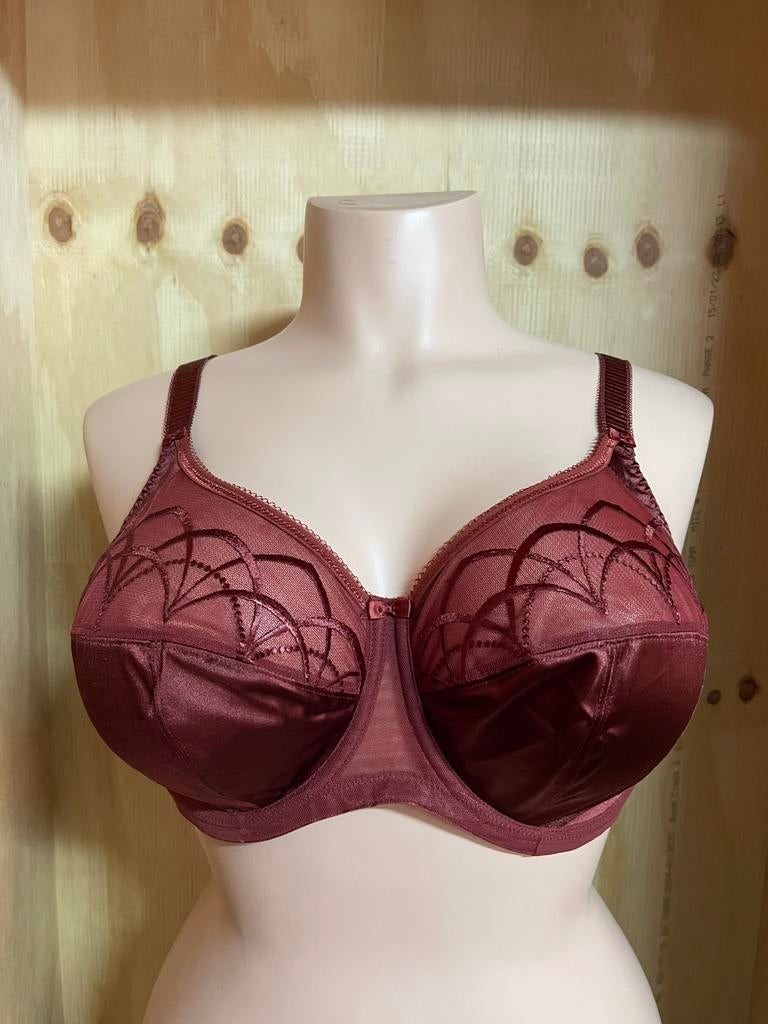Elomi bh 95e en 75o model cate dar, Verzenden, Bruin, BH