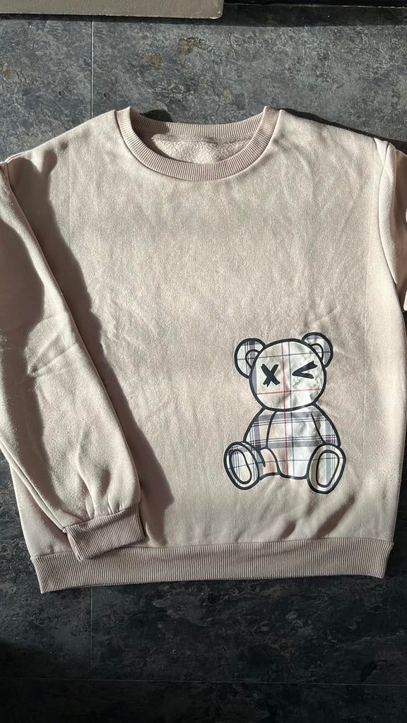 Bruine beren sweater, Ophalen of Verzenden, Zo goed als nieuw, Maat 38/40 (M), Bruin