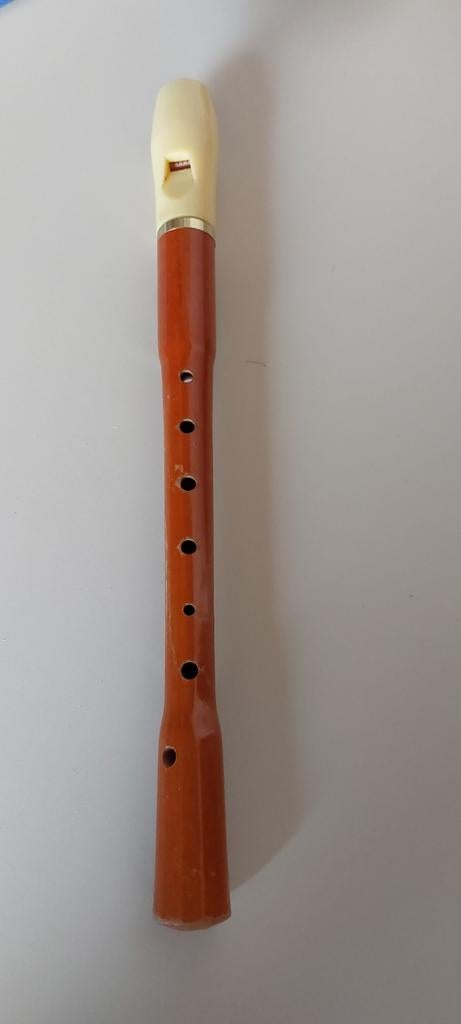 Blokfluit  bruin., Ophalen of Verzenden, Alt