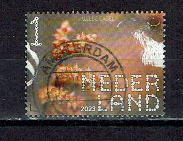 postzegels Nederland wilde gagel Oisterwijk NVPH 4146, Ophalen of Verzenden, Na 1940, Gestempeld