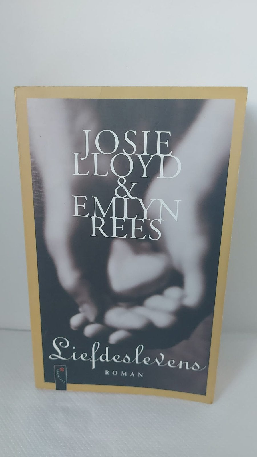 Josie Lloyd & Emilyn Rees - Liefdeslevens boek, Ophalen of Verzenden, Zo goed als nieuw
