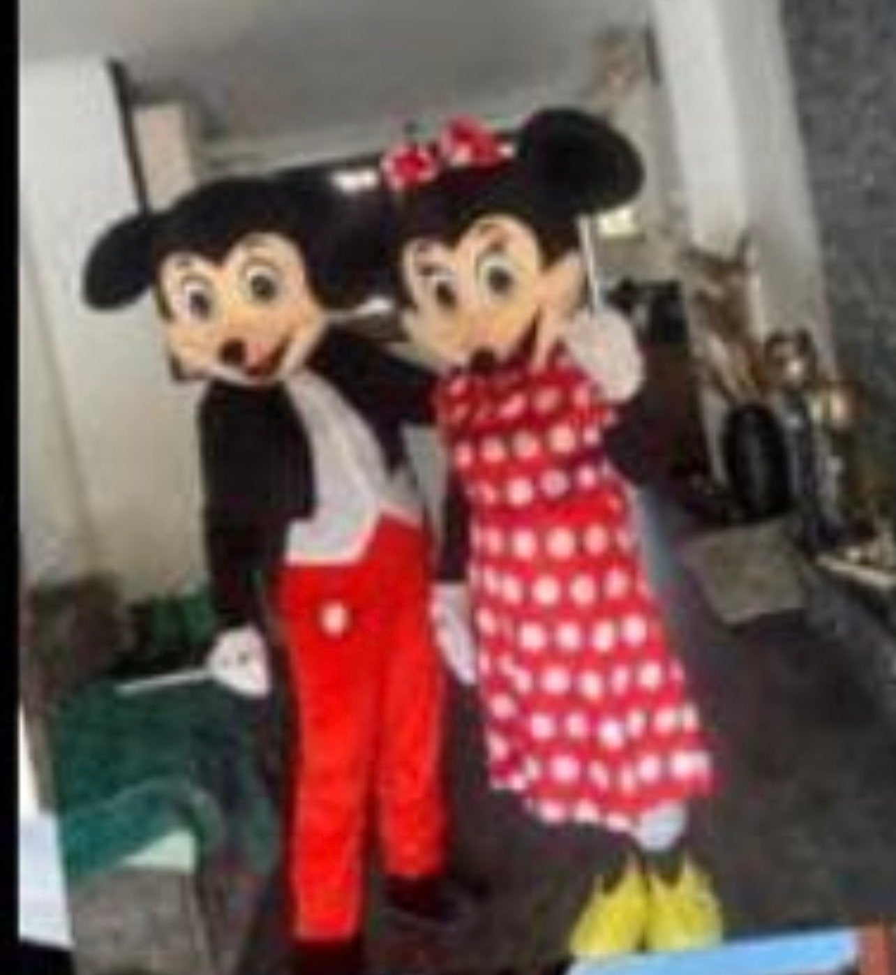 Mickey en Minnie Mouse Mascotte Kostuums, Ophalen of Verzenden, Zo goed als nieuw, Pak of Jurk