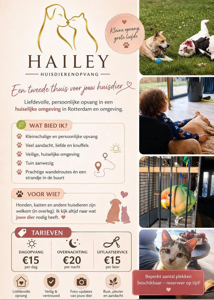 Huisdieren oppas opvang hondenoppas