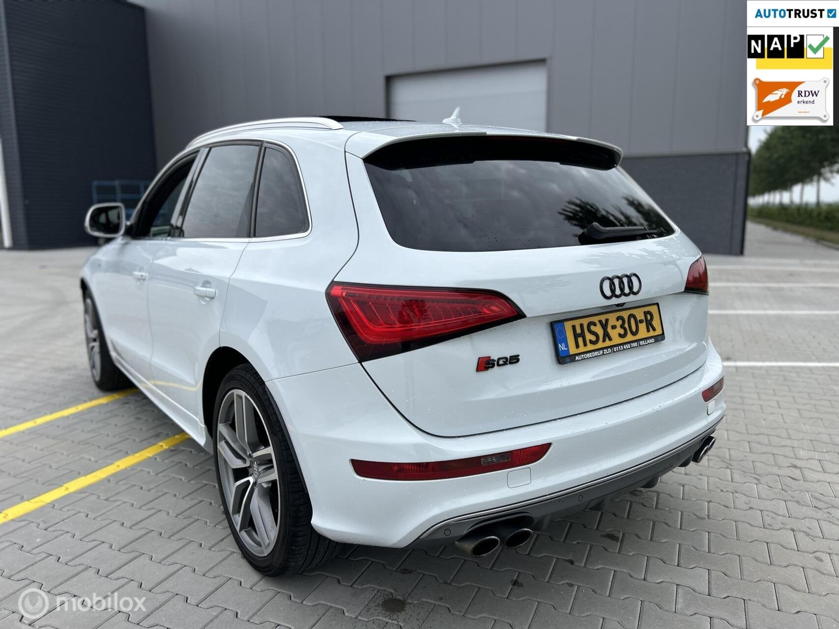 Audi SQ5 3.0 TDI SQ5 quattro Pro Line|B&O|CARPLAY|APK|313PK|, Automaat, Euro 5, 15 km/l, Wit