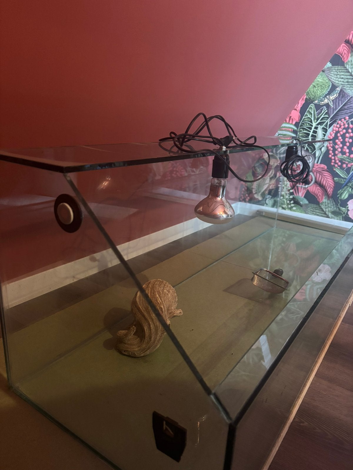 Terrarium 120x35, Dieren en Toebehoren, Ophalen, Zo goed als nieuw