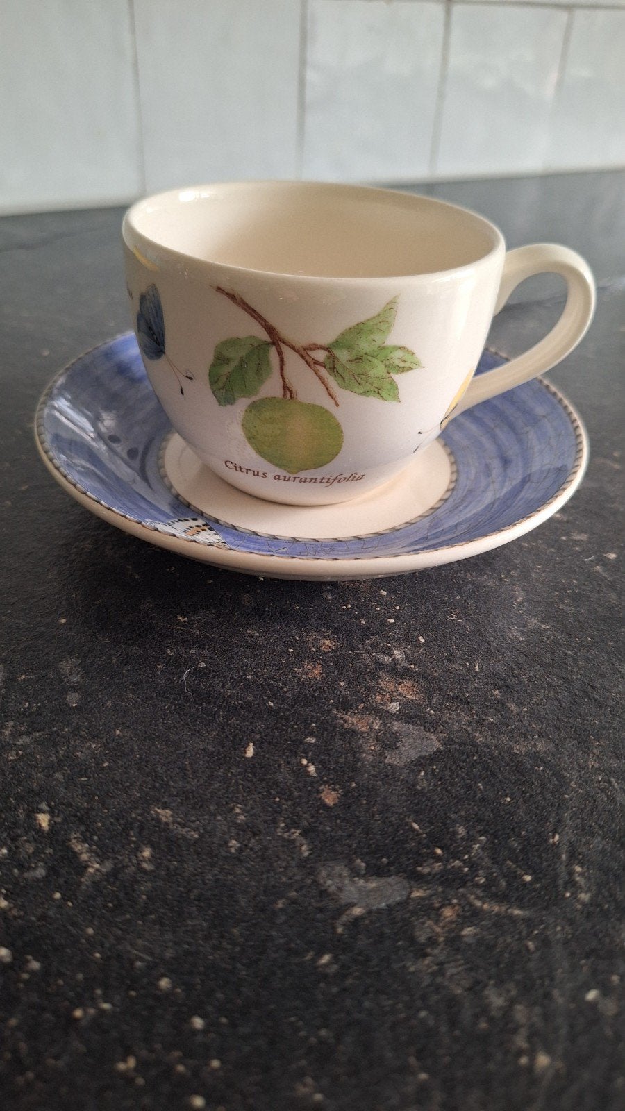 Wedgwood Sarah's Garden Kop en Schotel - Citrus Aurantifolia, Gebruikt, Ophalen of Verzenden, Wedgwood, Kop(pen) en/of Schotel(s)