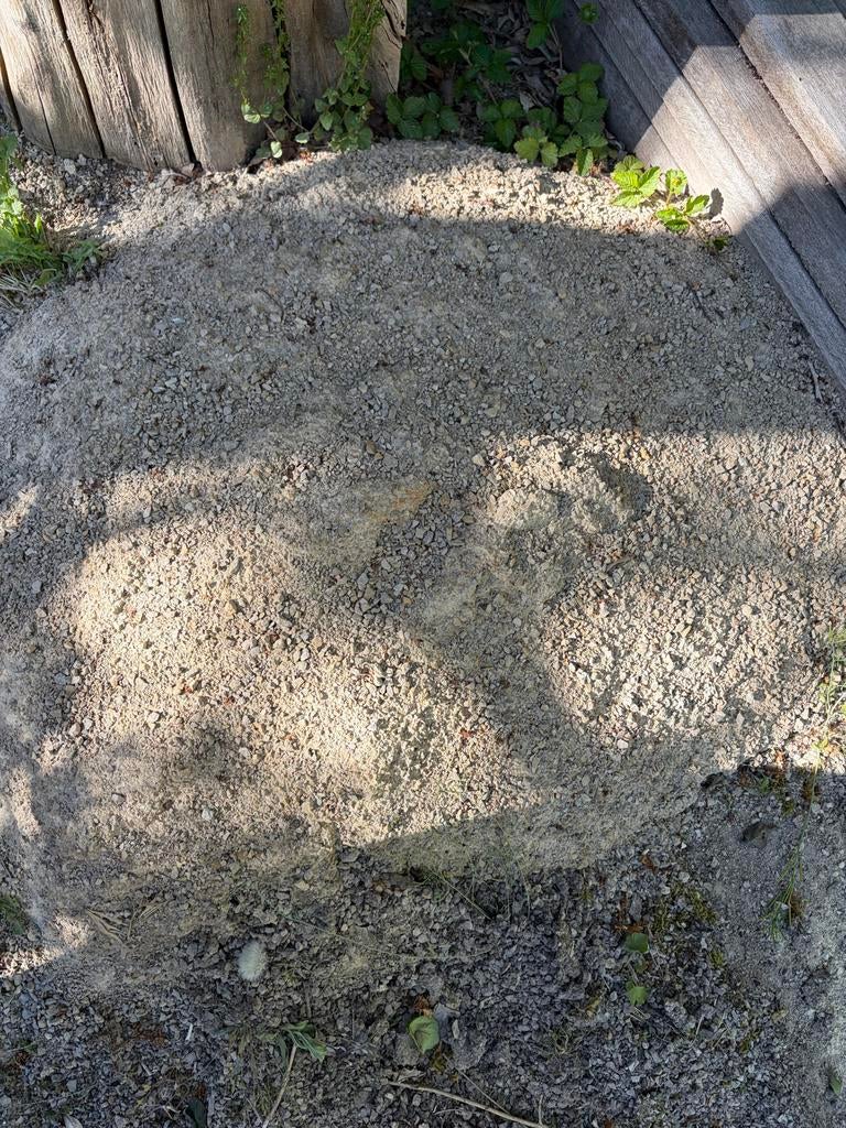 Dolomiet voor halfverharding pad - Overtollig na tuinaanleg, Tuin en Terras, Grind, Keien en Split, Ophalen, Gebruikt, Dolomiet
