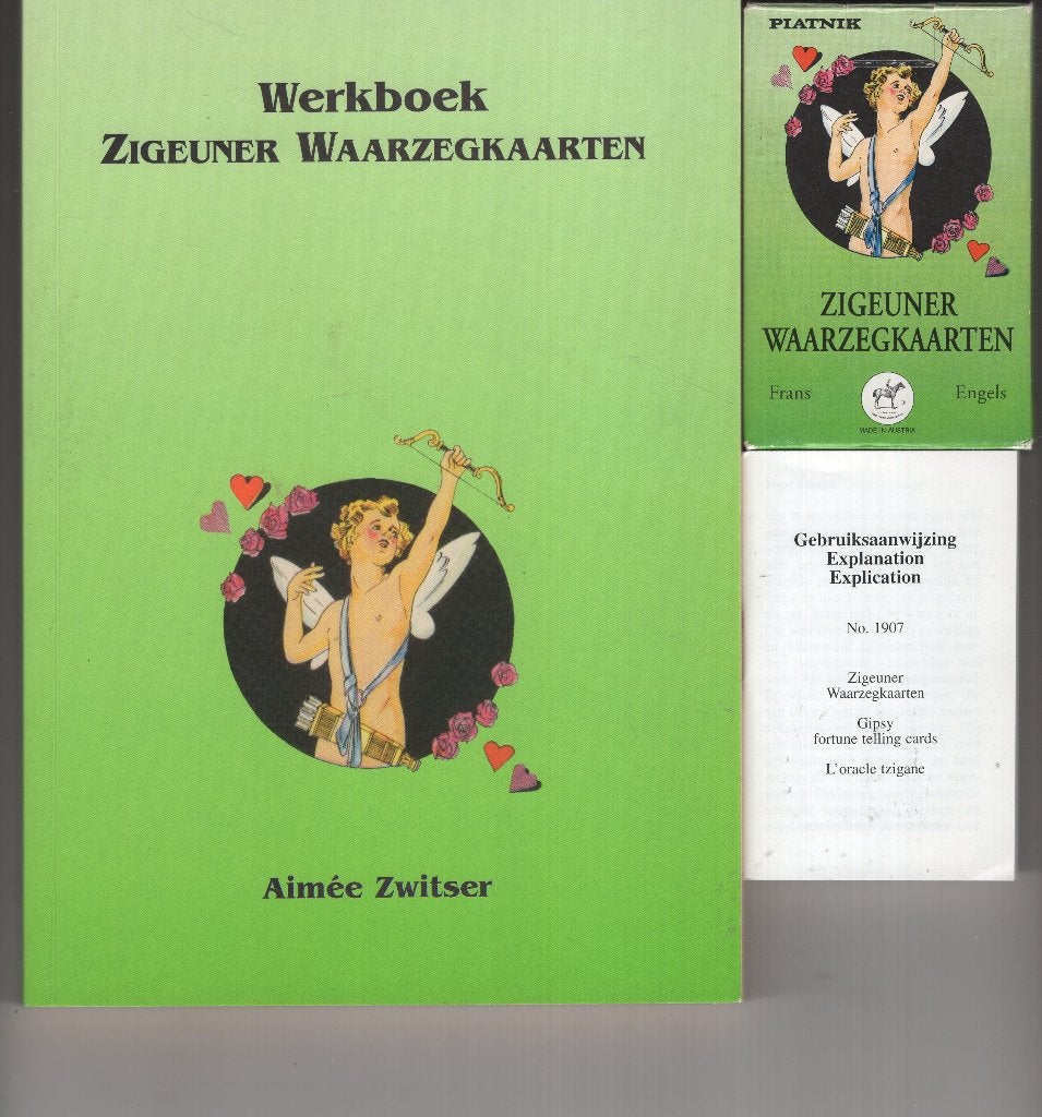 Werkboek zigeuner waarzegkaarten en Kaarten, Ophalen of Verzenden, Gelezen, Spiritualiteit algemeen, Overige typen