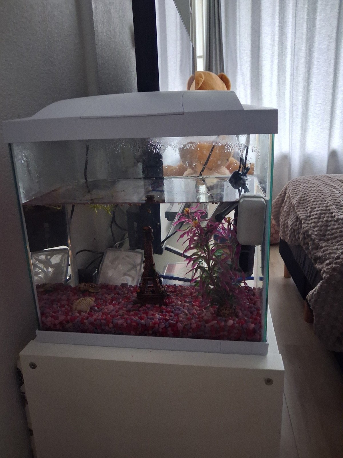Aquarium, Dieren en Toebehoren, Ophalen, Leeg aquarium