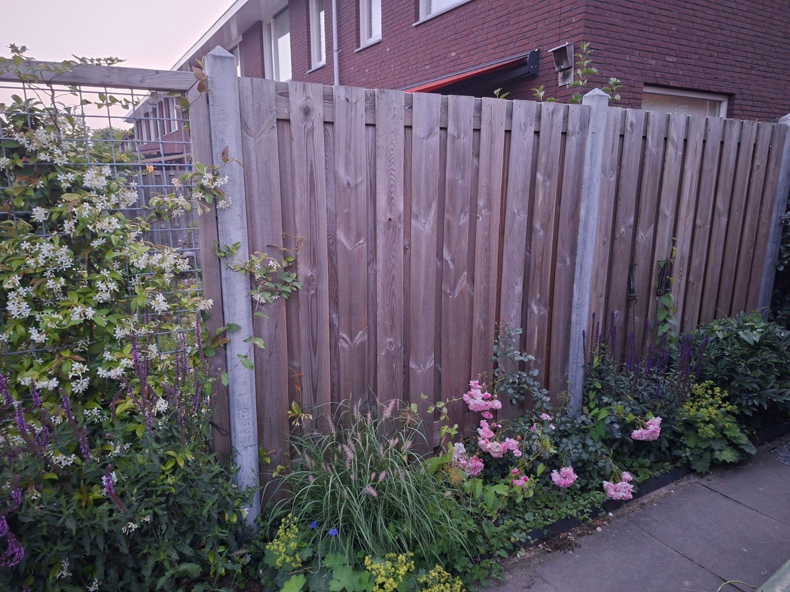 Schuttingpaneel 180 cm - Hout, Ophalen, Minder dan 3 meter, Hout, 1 tot 2 meter