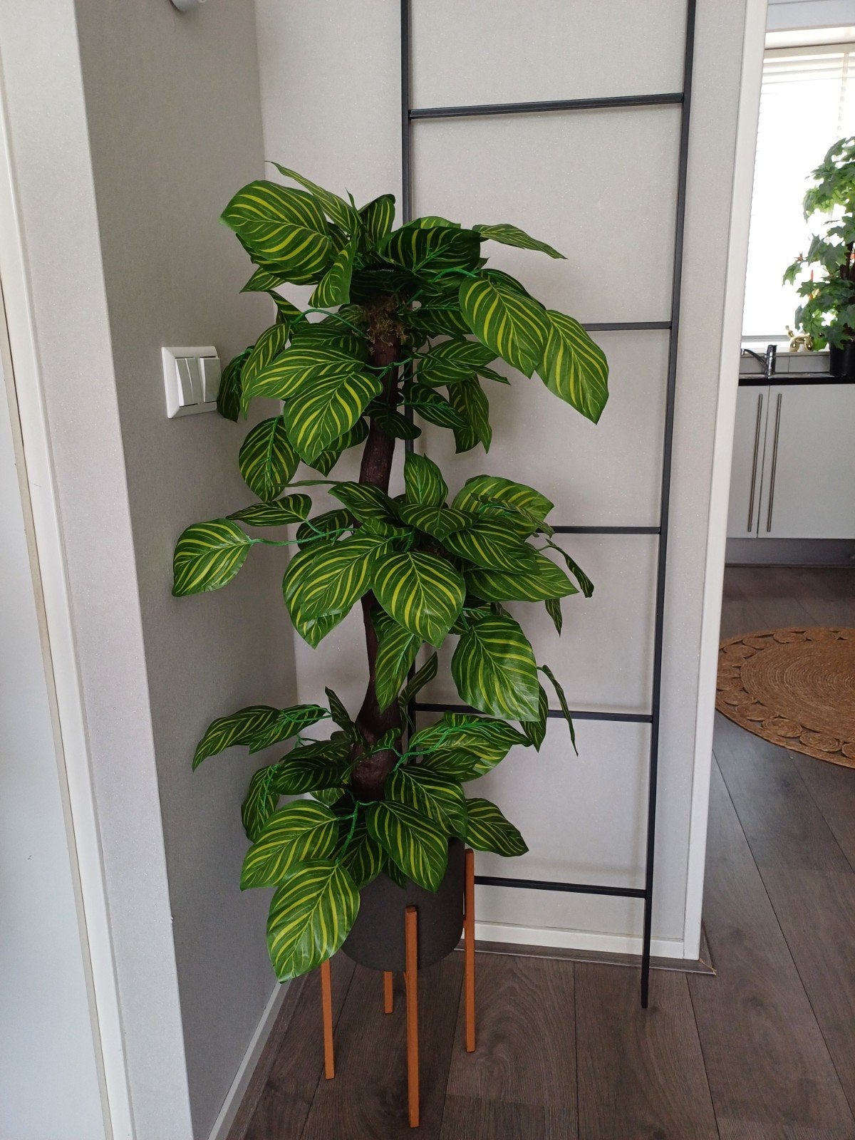 Grote kunstplant Calathea met pot en standaard, Ophalen of Verzenden