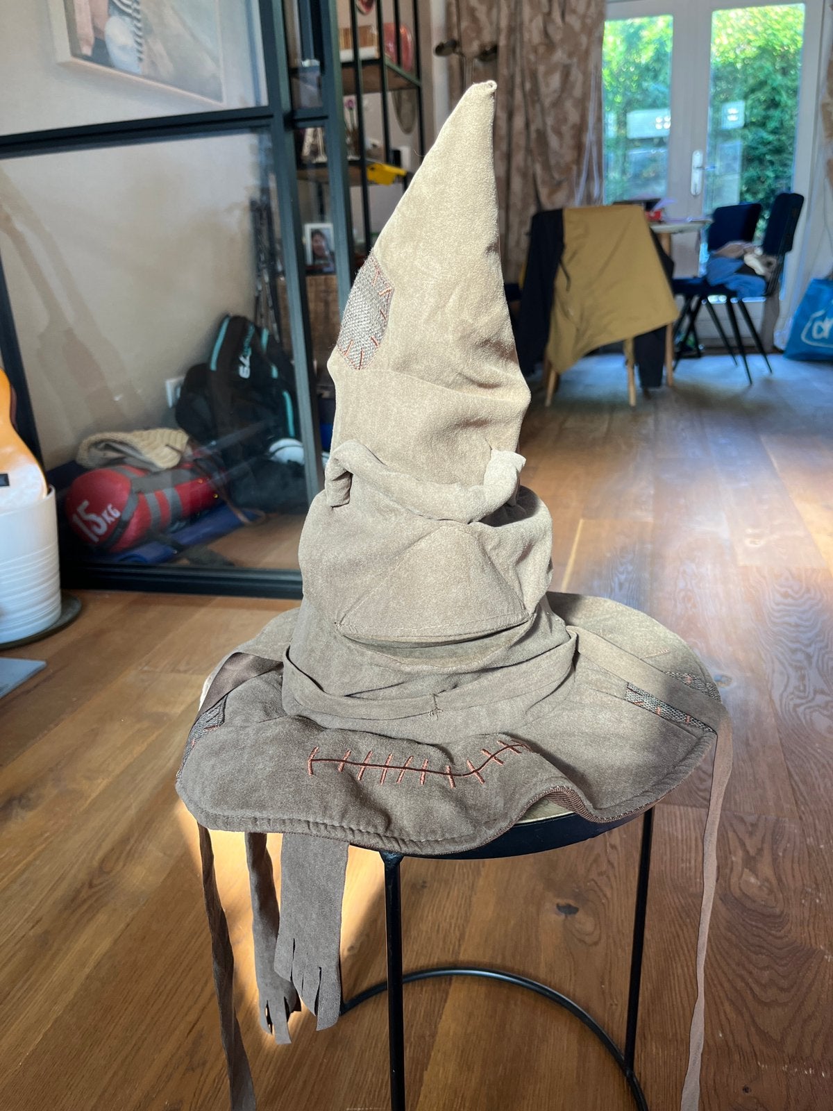Harry Potter Sorting Hat, Ophalen, Zo goed als nieuw, Jongen of Meisje
