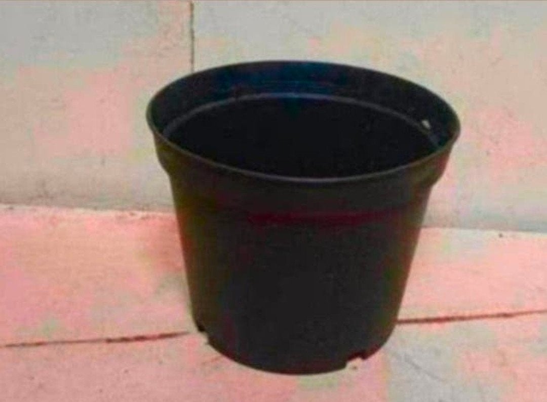 Kweekpotten plantenpotten bloempotten 2 liter, Tuin en Terras, Bloempotten, Kunststof, Gebruikt, Rond, Ophalen of Verzenden