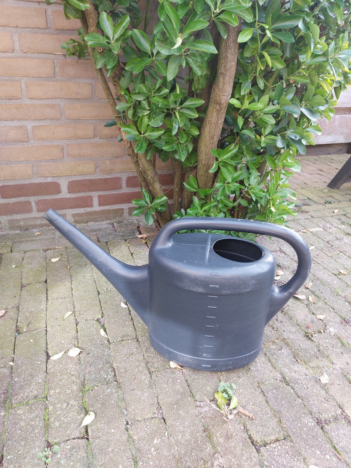 zwarte gieter. 10 liter., Tuin en Terras, Ophalen of Verzenden, Kunststof