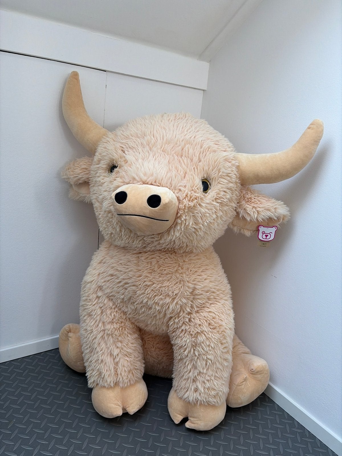 Grote knuffel Schotse Hooglander - nieuw, Kinderen en Baby's, Ophalen, Overige merken, Overige karakters, Nieuw