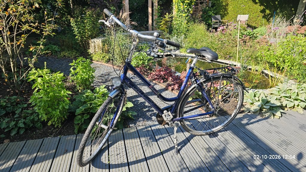 Giant Jubilee dames- en herenfiets, Fietsen en Brommers, Ophalen, Gebruikt, Velgrem, Versnellingen