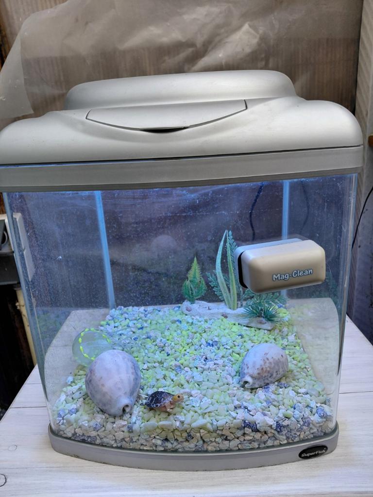 Klein aquarium, Ophalen, Gebruikt, Leeg aquarium