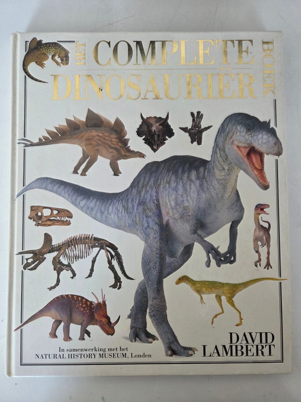 Het Complete Dinosauriër Boek - David Lambert, Boeken, Ophalen of Verzenden, Gelezen, Overige onderwerpen, David Lambert