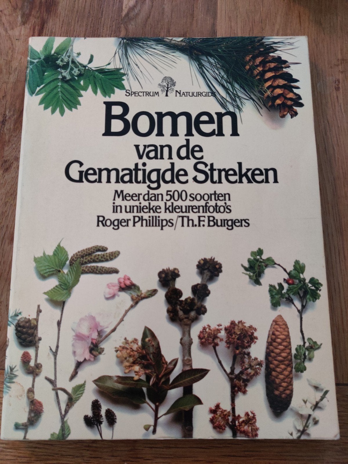 Bomen van de Gematigde Streken - Natuurgids, Boeken, Ophalen of Verzenden, Gelezen, Bloemen, Planten en Bomen, Roger Phillips, Th.F. Burgers