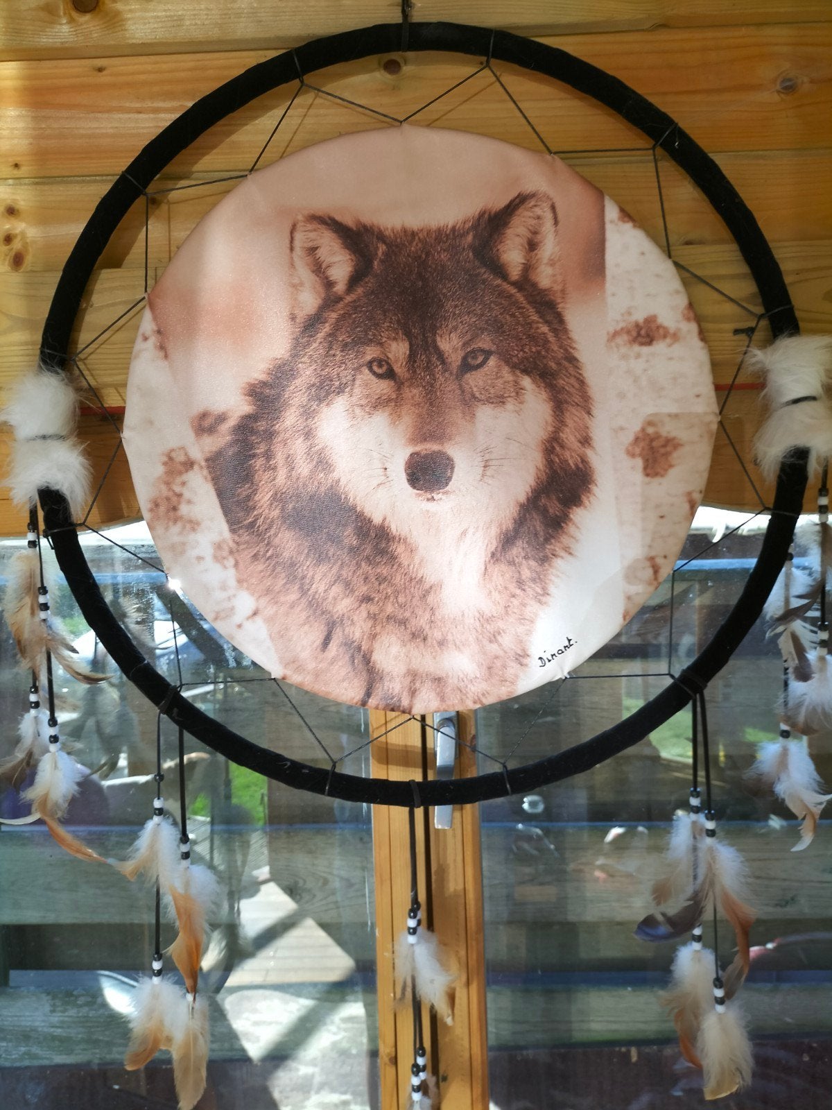 Grote dromenvanger wolf, Ophalen