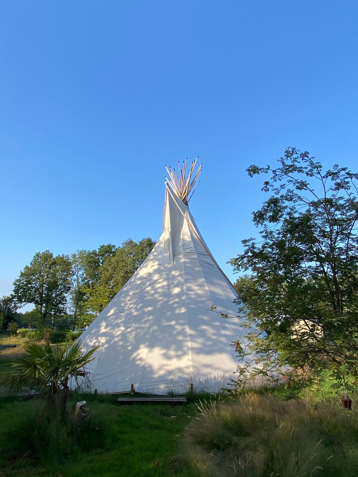Grote TIPI tent (10 meter doorsnee), Caravans en Kamperen, Ophalen, Gebruikt, Meer dan 6