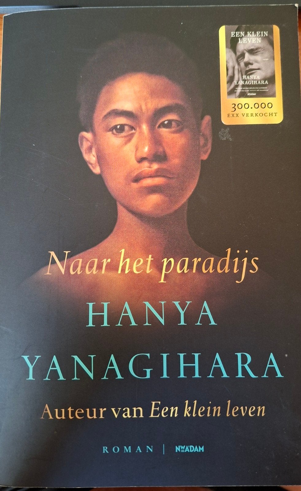 Hanya Yanagihara . Naar het paradijs - Paperback, Ophalen of Verzenden, Zo goed als nieuw, Hanya Yanagihara, Amerika