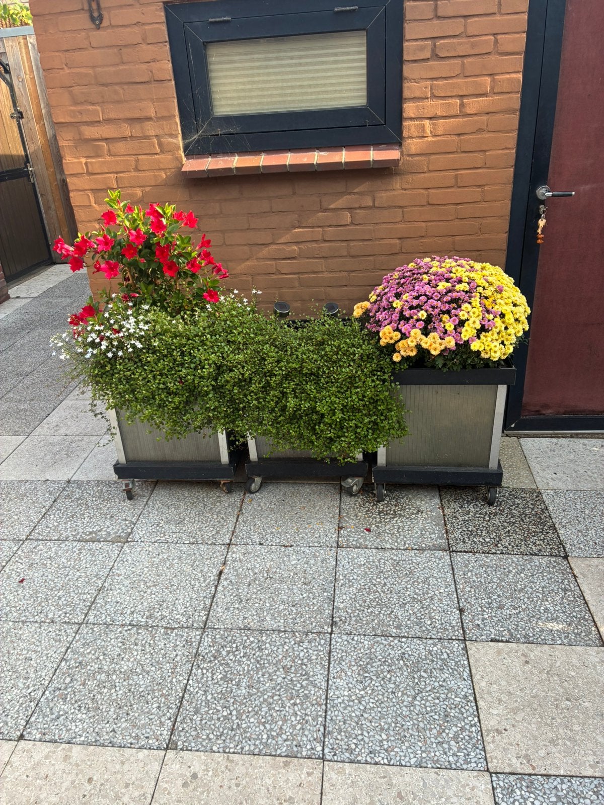 3 Bloembakken op wielen, Ophalen, Gebruikt, Minder dan 60 cm, Vierkant
