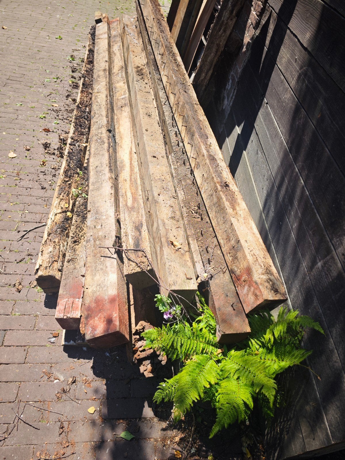 hout voor kachel, Ophalen of Verzenden, Hout, Houtkachel