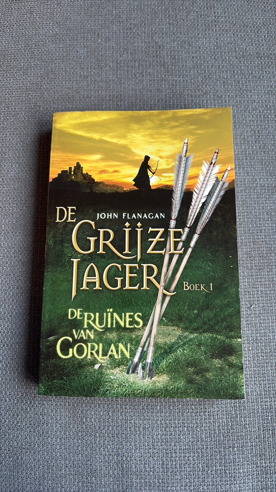 De grijze jager boek 1, Ophalen of Verzenden, Zo goed als nieuw