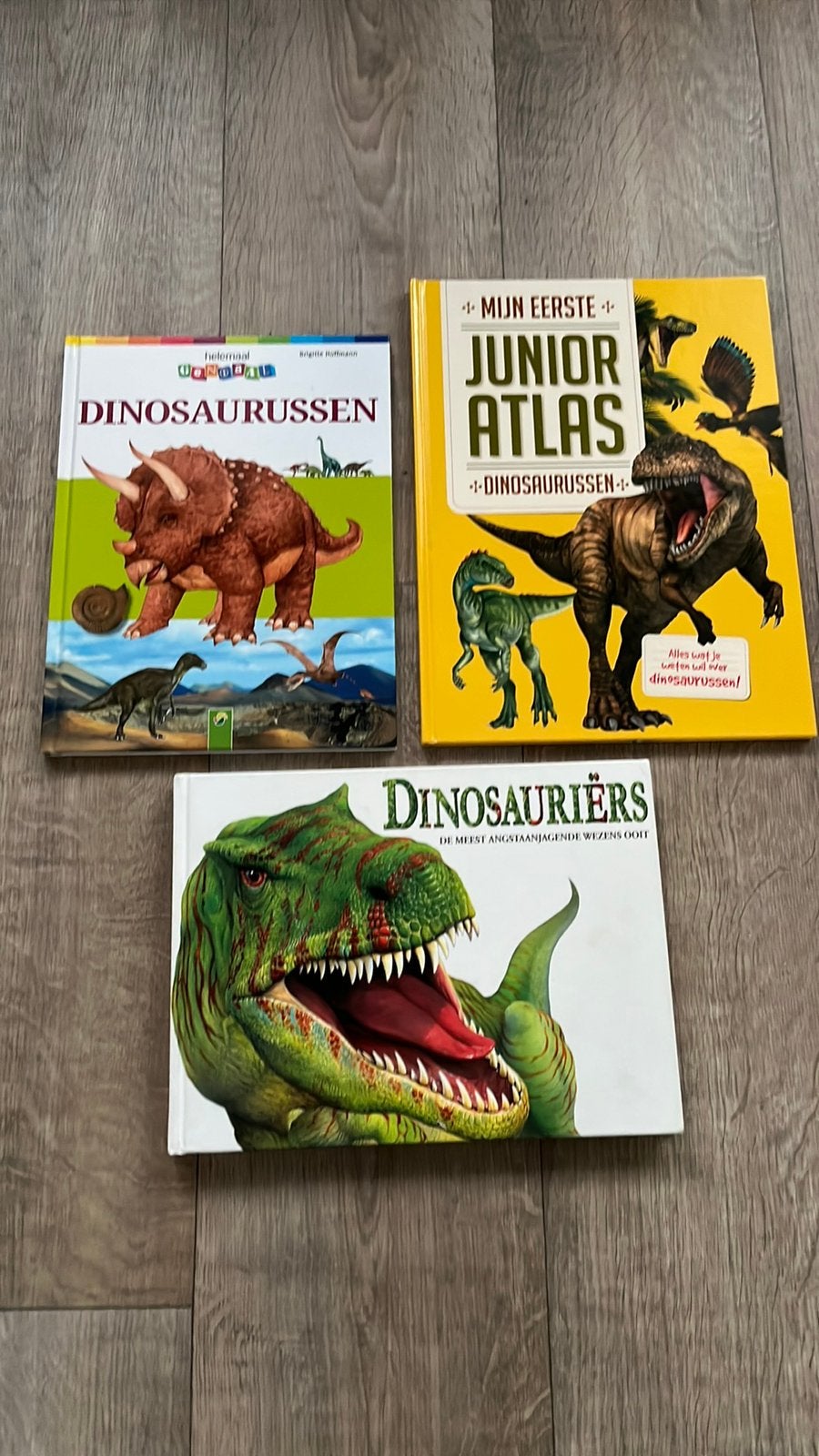 6 dino boeken, Ophalen of Verzenden, Zo goed als nieuw