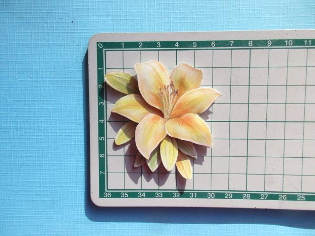 j30 Jeanine / bloemen, Verzenden, Nieuw, Overige thema's, Overige typen