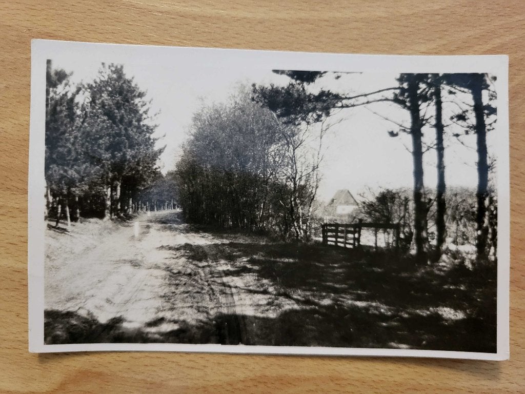 ansicht TEXEL Rozendijk, Ophalen of Verzenden, Voor 1920, Noord-Holland