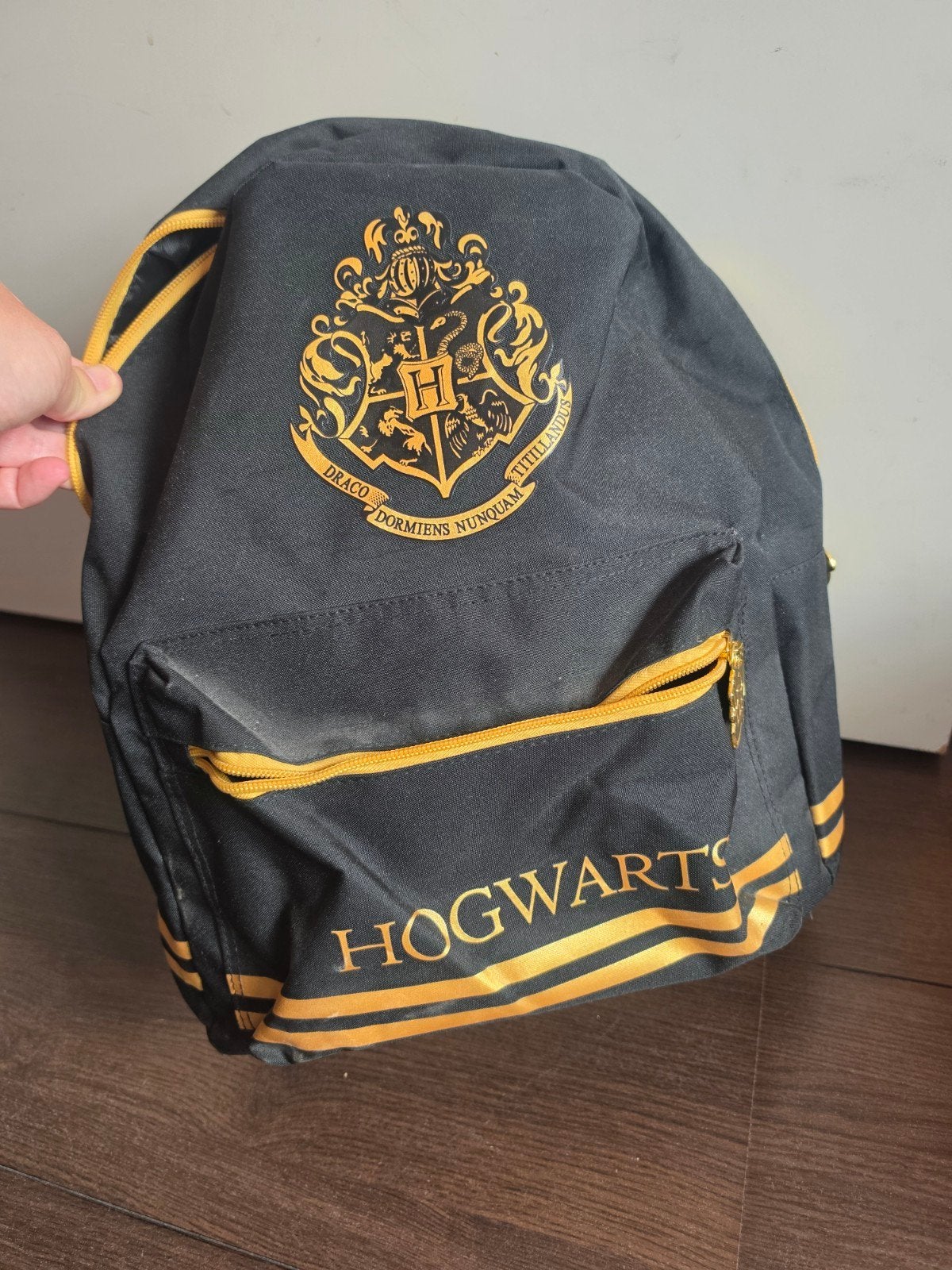 Harry Potter rugzak, Ophalen, Zo goed als nieuw, Overige merken