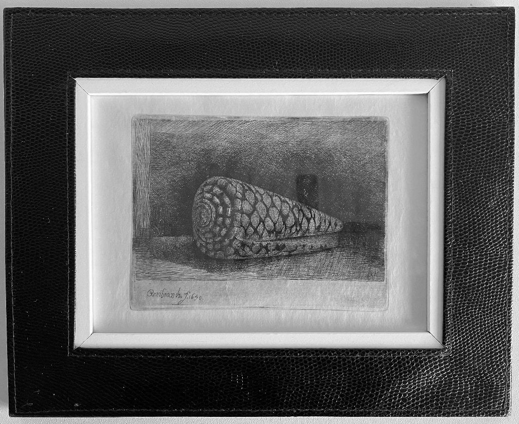 Kopie Ets De schelp van Rembrandt van Rijn (1650), Ophalen of Verzenden, Flora en Fauna, Ets, Ingelijst