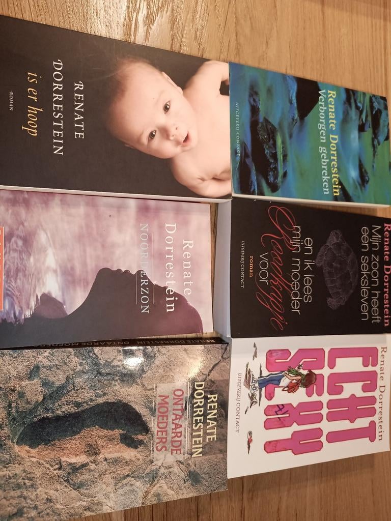 Renate Dorrestein boeken - 6 romans, Ophalen of Verzenden, Gelezen, Renate Dorrestein, Nederland