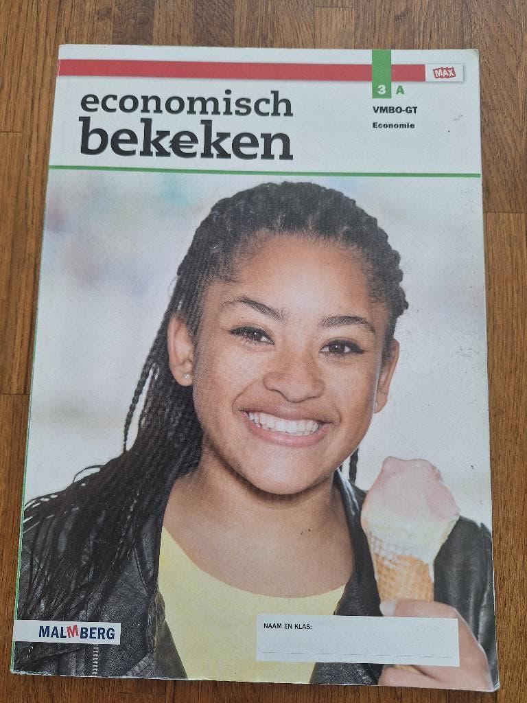Economisch bekeken 3A VMBO - GT, Ophalen of Verzenden, Gelezen, Overige niveaus