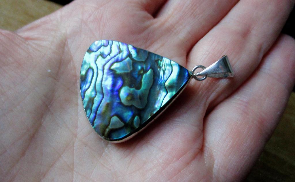 416/ mooie abalone hanger, Overige kleuren, Nieuw, Ophalen of Verzenden, Met edelsteen