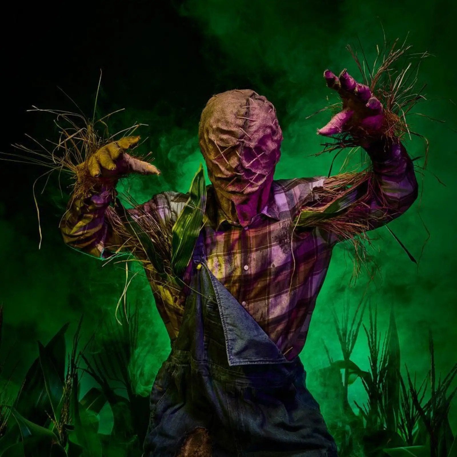 scare zone Entwined Toverland, Drie personen of meer, Ticket of Toegangskaart