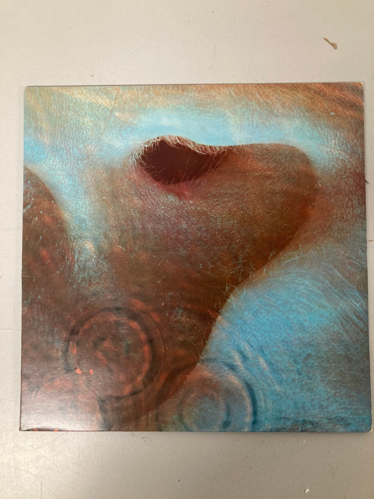 Pink Floyd - Meddle - LP, Cd's en Dvd's, Ophalen of Verzenden, Gebruikt, 12 inch