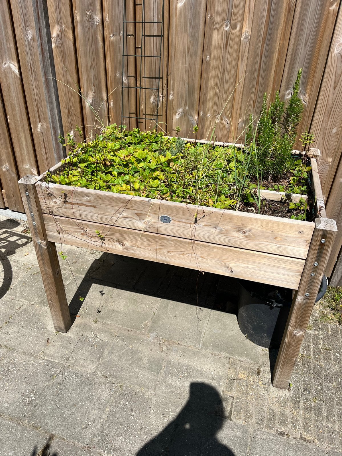 Houten moestuinbak op poten, Ophalen, Gebruikt, 100 cm of meer, Balkon