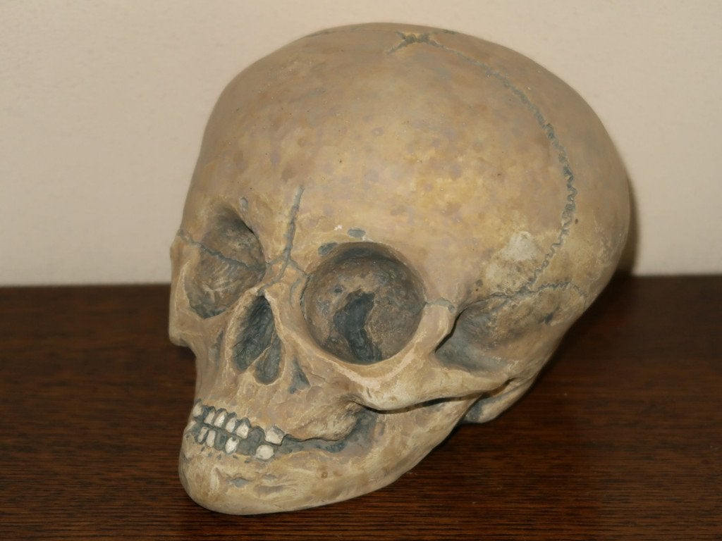 REPLICA Dreumes Schedel kind, handgemaakte Baby Skull mens, Ophalen of Verzenden