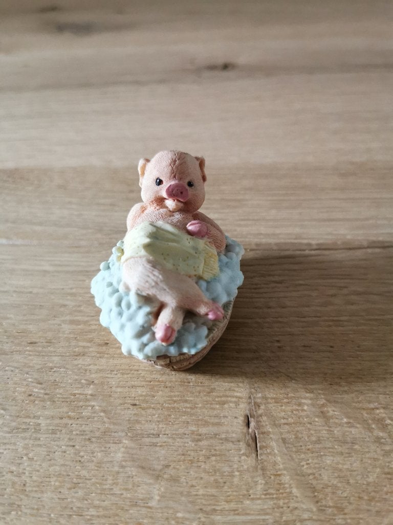 Varken in bad, Ophalen of Verzenden, Zo goed als nieuw, Dier