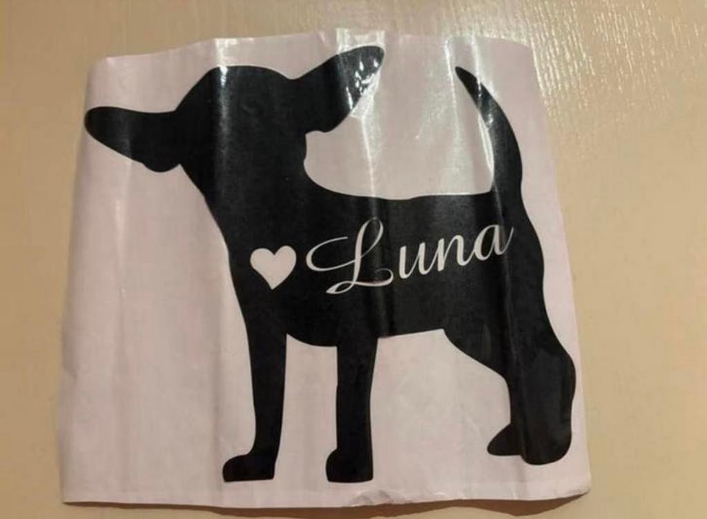 Raam sticker chihuahua met de naam Luna, Ophalen, Nieuw