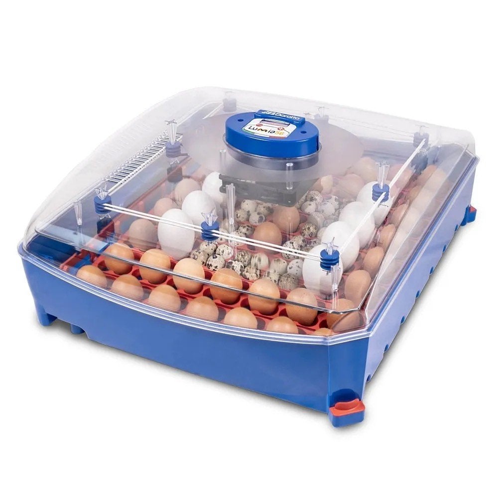 Borotto Lumia 56 Automatische Broedmachine | 56 Eieren, Dieren en Toebehoren, Borotto, Nieuw, Ophalen of Verzenden, Verona Italie