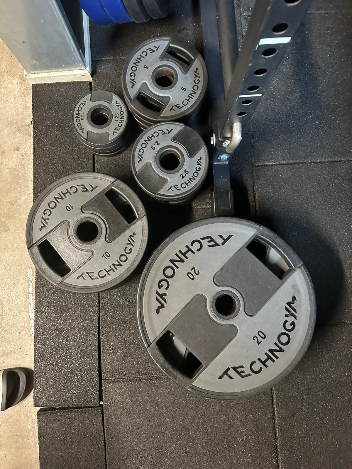 Set Technogym olympische halterschijven 205kg, Sport en Fitness, Ophalen, Gebruikt, Benen, Halterschijven