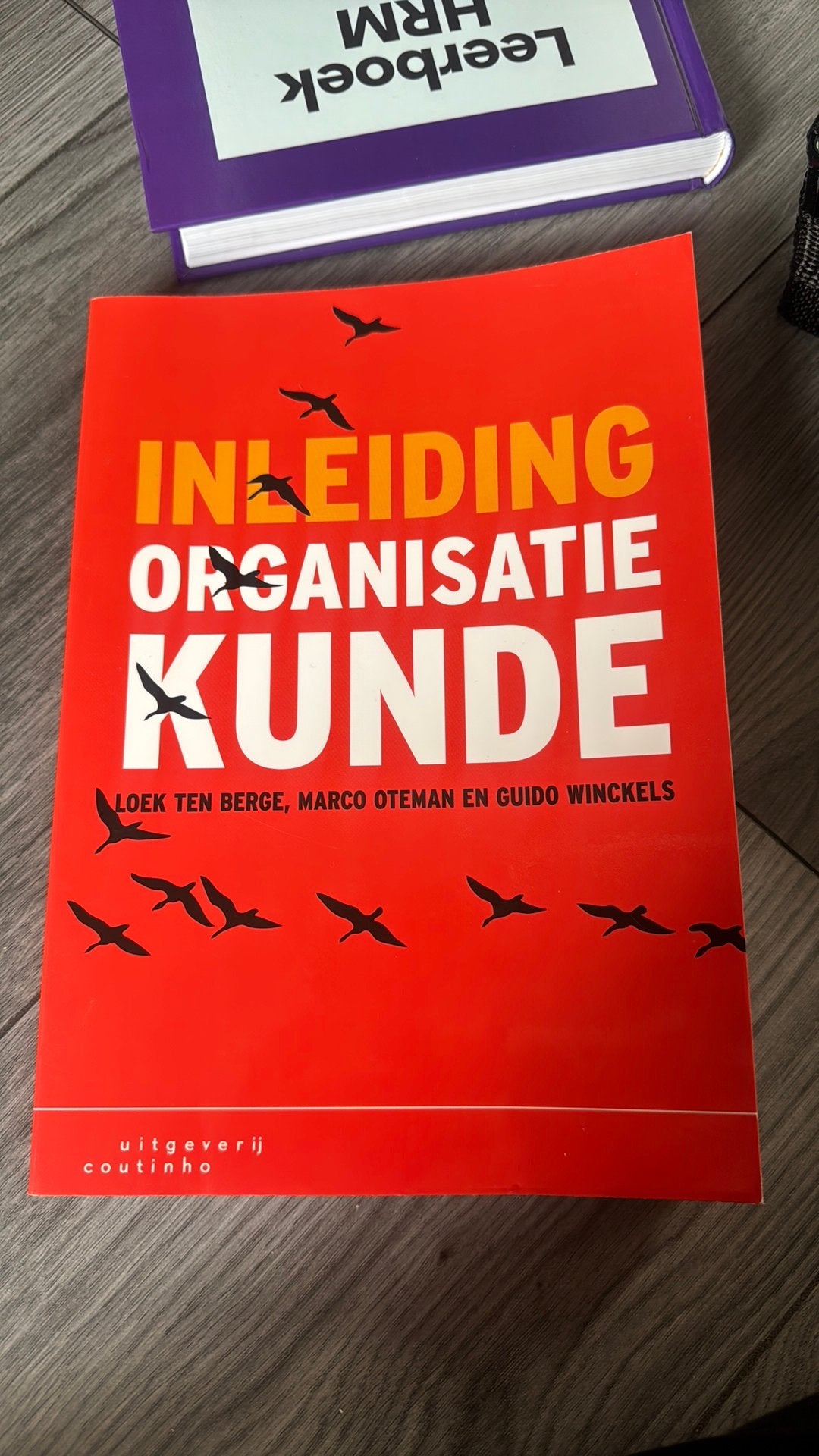 Loek ten Berge - Inleiding organisatiekunde, Ophalen, Sociale wetenschap, Zo goed als nieuw, Loek ten Berge; Marco Oteman