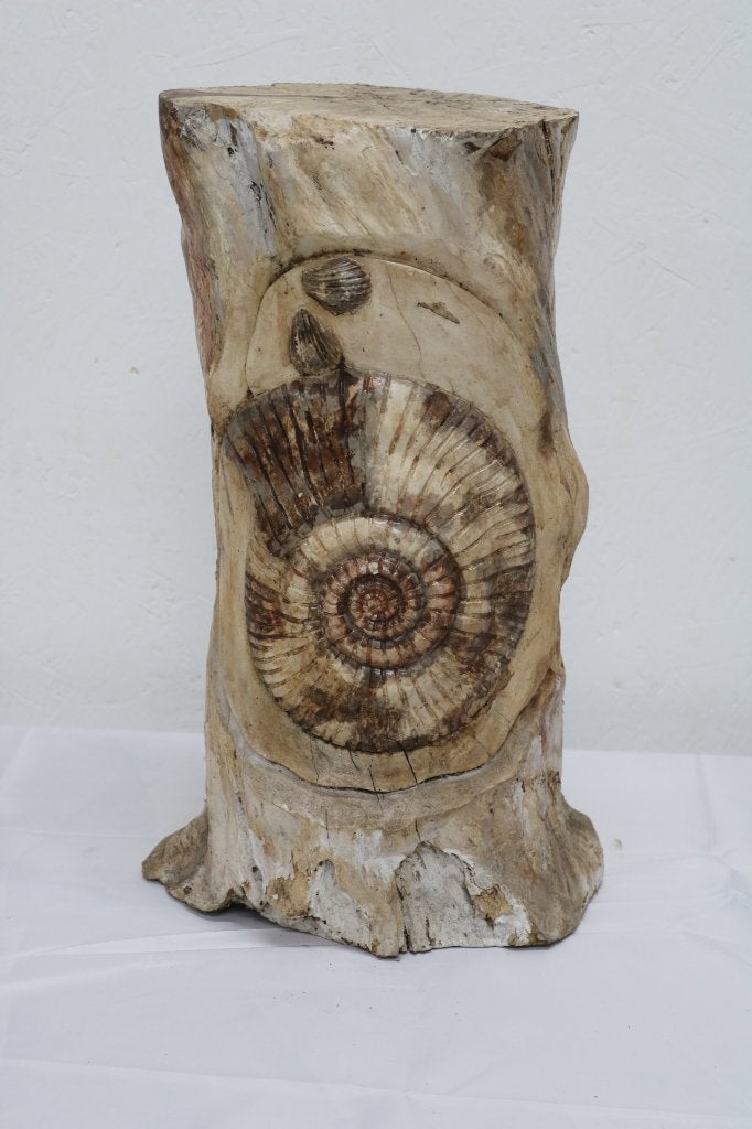 Teak Snail Fossiel, Antiek en Kunst, Kunst | Beelden en Houtsnijwerken, Ophalen, Handgemaakt, Hout, Houtsnijwerk