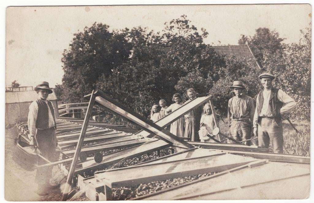 B2651 Westland, platglas gieten, Ophalen of Verzenden, 1920 tot 1940, Ongelopen, Zuid-Holland