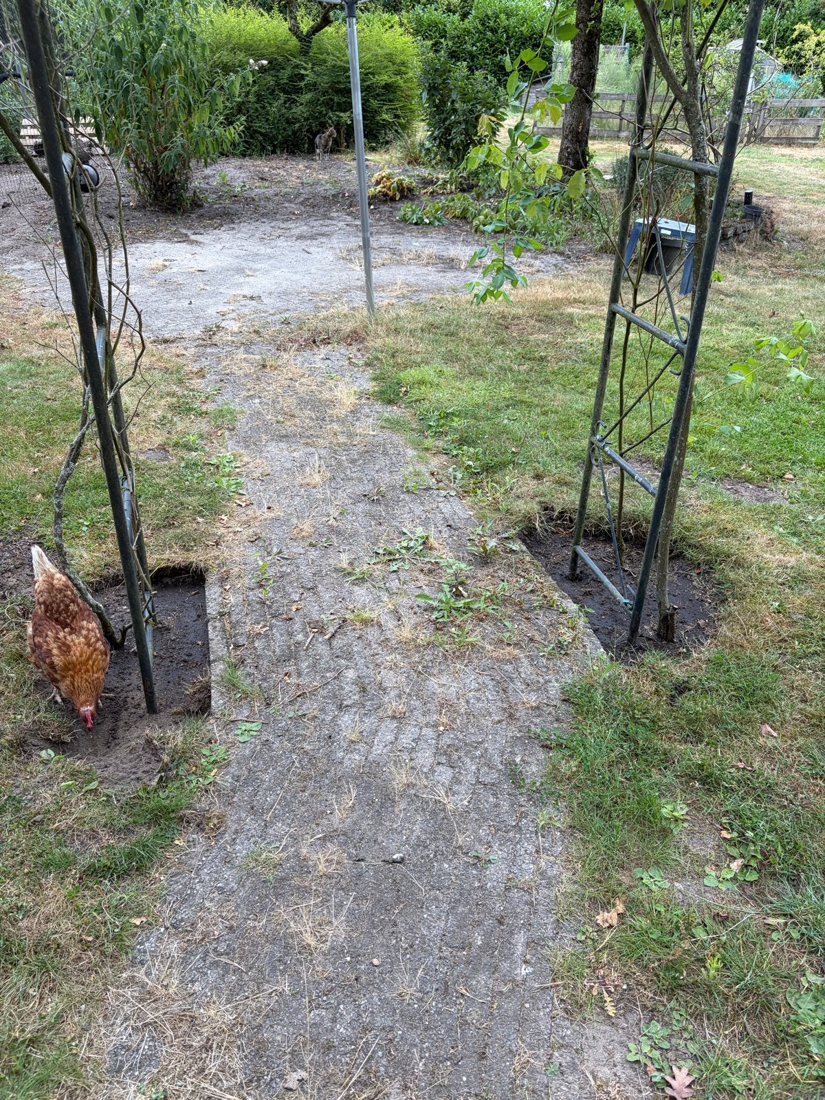 Gratis Meerkleurige Klinkers (20x8x5 cm)  14m2, Ophalen, Gebruikt, Klinkers, 10 m² of meer