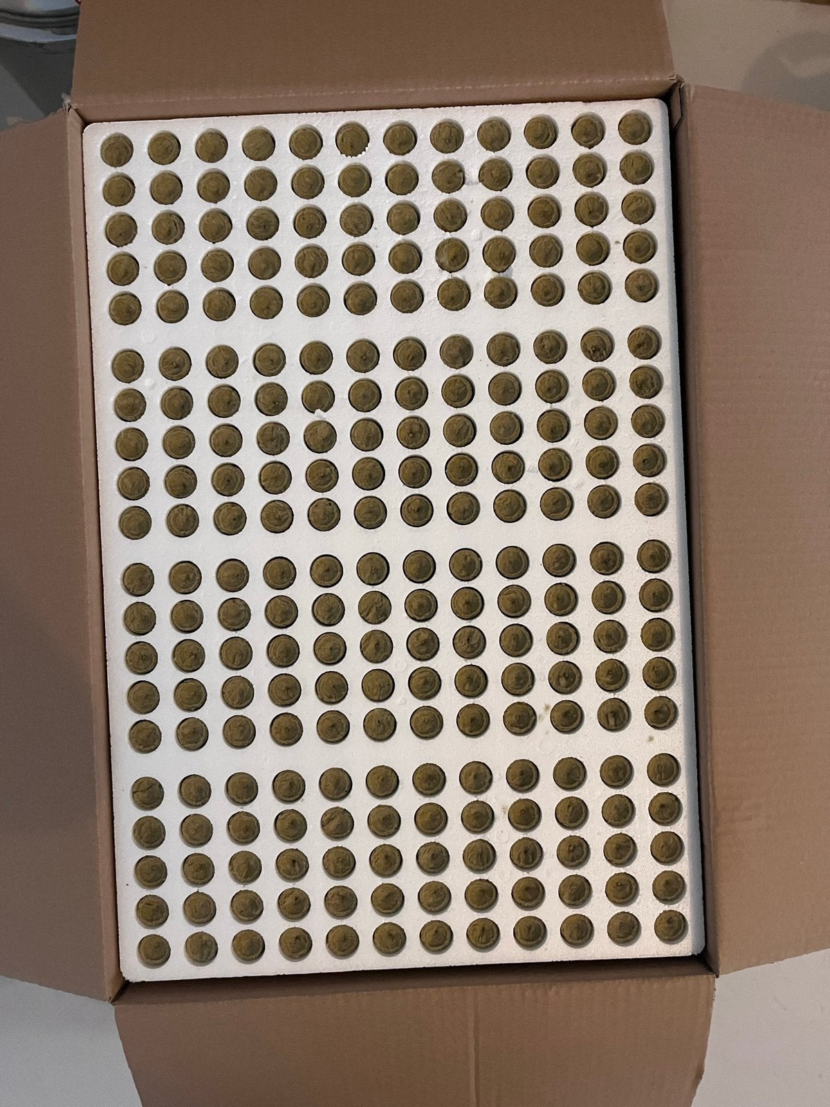 Grodan Steenwol Kiempluggen Standaard Tray - 2880 stuks, Ophalen, Nieuw, Overige typen